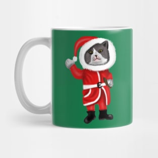 Santa Cat Funny Cat Lovers Christmas Gift Mug